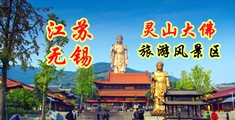 日夲美女BB江苏无锡灵山大佛旅游风景区